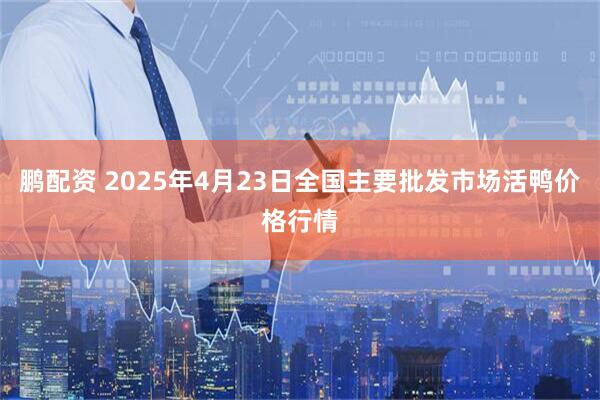鹏配资 2025年4月23日全国主要批发市场活鸭价格行情