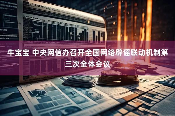 牛宝宝 中央网信办召开全国网络辟谣联动机制第三次全体会议