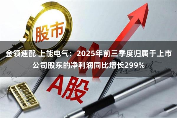 金领速配 上能电气：2025年前三季度归属于上市公司股东的净利润同比增长299%