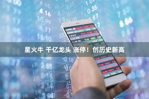 星火牛 千亿龙头 涨停！创历史新高